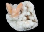 Peach Stilbite Clusters - Maharashtra, India #65685-2